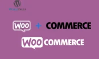 由于受SEO影响，Woocommerce.com域名被重新启用
