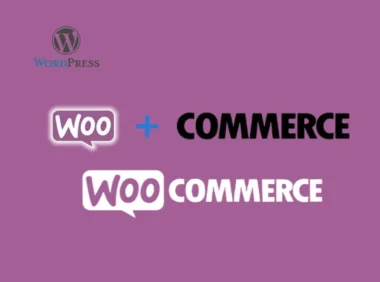 由于受SEO影响，Woocommerce.com域名被重新启用