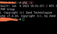 Debian | PHP7.4.33升级PHP8.3.*，以符合WordPress新特性要求