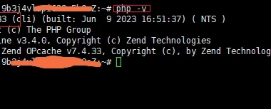 Debian | PHP7.4.33升级PHP8.3.*，以符合WordPress新特性要求