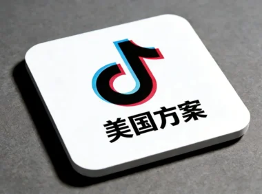 TikTok美国方案核心架构与业务划分表